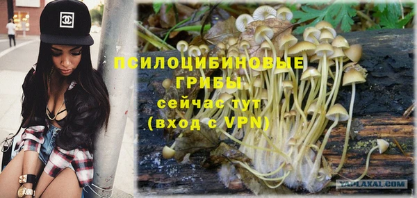 спайс Беломорск