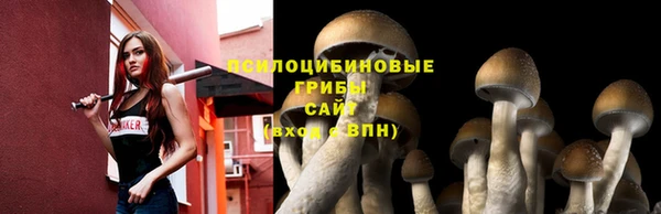 кокаин колумбия Белокуриха