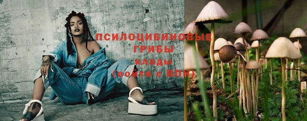 первитин Белоозёрский